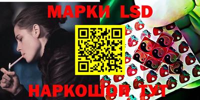 дмт Шебекино