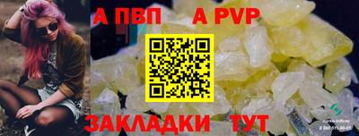 бошки Шелехов