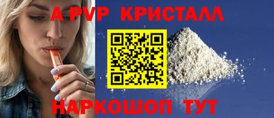 бошки Шелехов