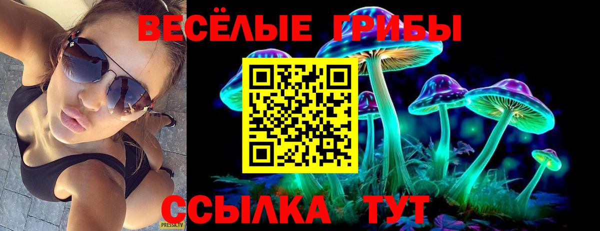 Холмск  Галлюциногенные грибы мицелий  хочу наркоту  Вход с VPN  Галлюциногенные грибы прущие грибы 